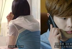 恋爱视频,恋爱视频中的浪漫回顾