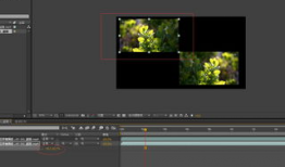视频镜像,揭秘镜像中的奇妙世界
